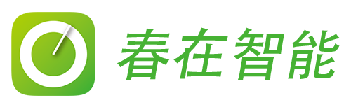 CZINT Logo